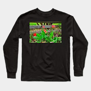 Along the Fence Long Sleeve T-Shirt